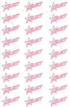 1997 Select AFL Stickers - Stand Ups #11 Craig Bradley Back